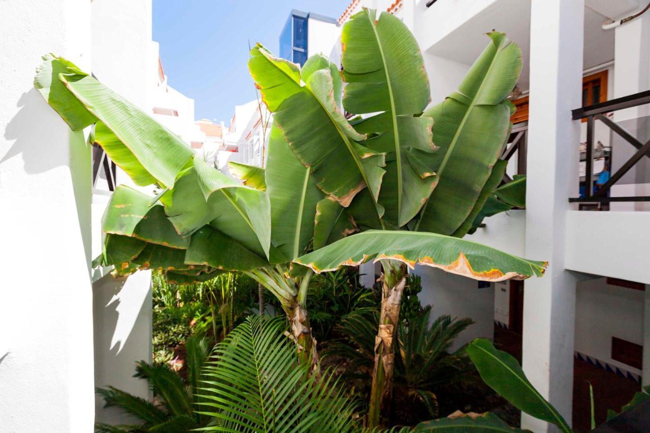 Estudio 1 Sara En Playa De Las America - Sara Vacation Costa Adeje  Exterior photo